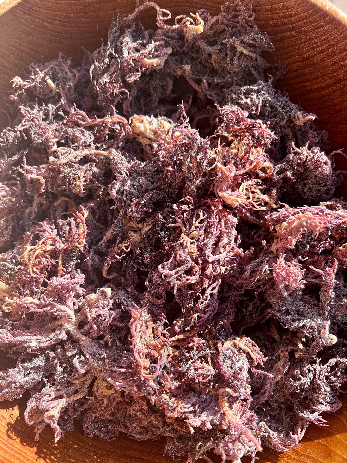 Purple Sea Moss Wildcrafted